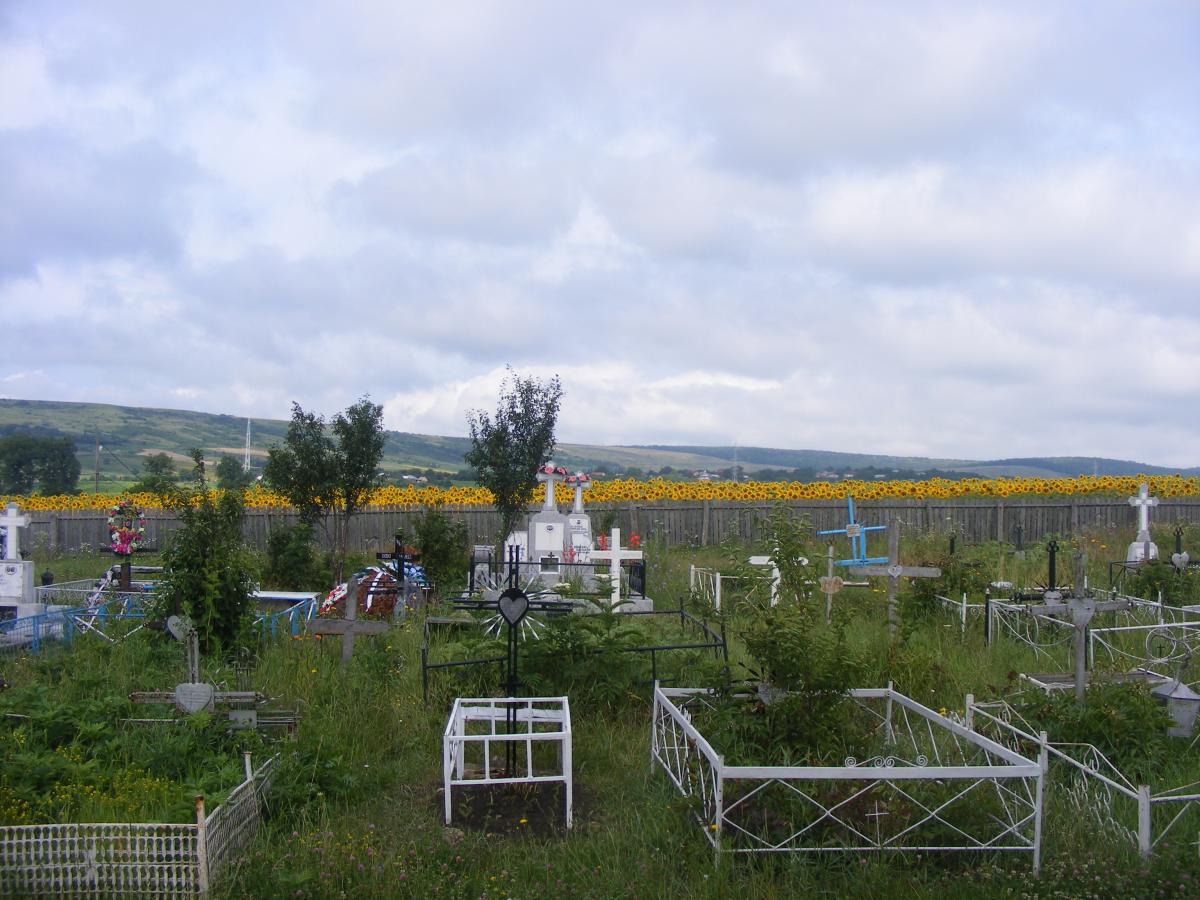 In cimitirul parohiei.