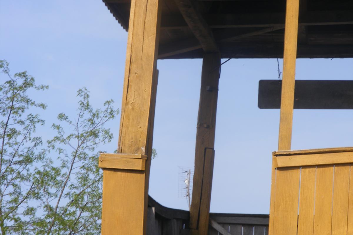 Fosta clopotnita.  6